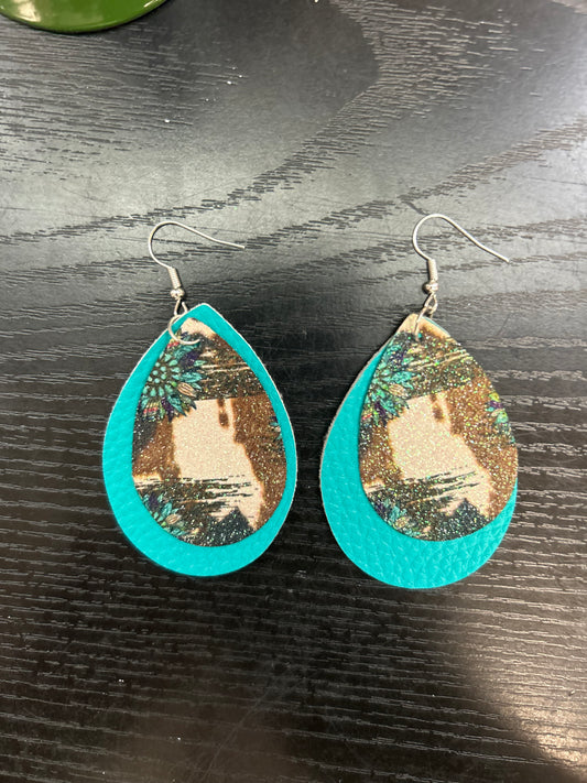 Western turquoise on teal